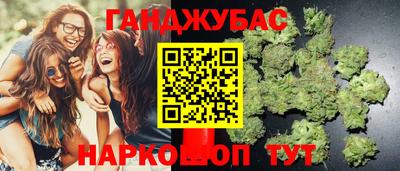 альфа пвп Волгодонск