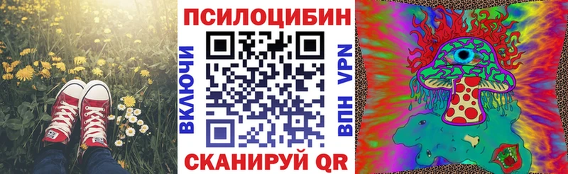 продажа наркотиков  Димитровград  Псилоцибиновые грибы мицелий 
