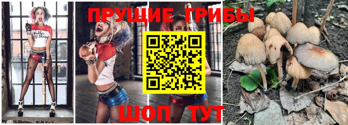 Галлюциногенные грибы Cubensis  Димитровград 