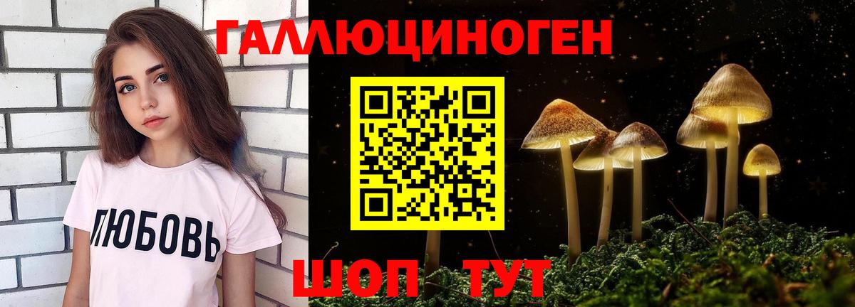 Галлюциногенные грибы Magic Shrooms  Галлюциногенные грибы Cubensis  Димитровград  Вход с VPN 