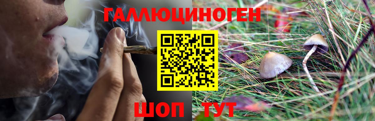 Псилоцибиновые грибы MAGIC MUSHROOMS Димитровград