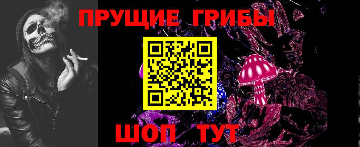 Псилоцибиновые грибы GOLDEN TEACHER Димитровград