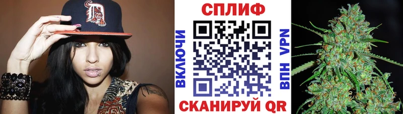 Канабис сатива  Димитровград 